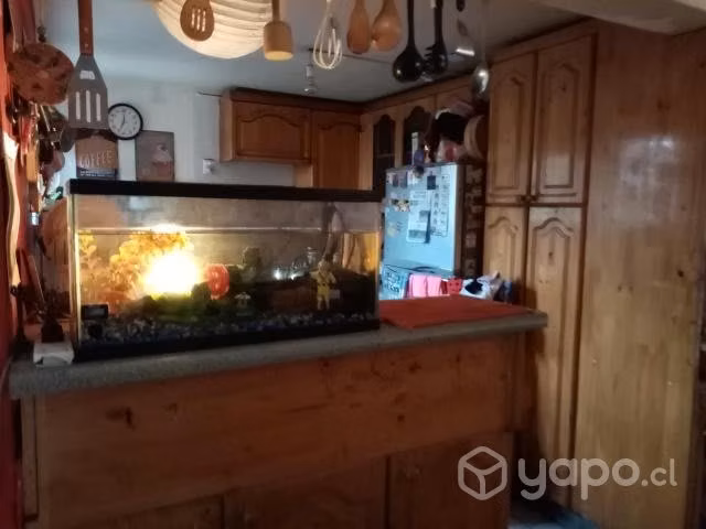 Casa luminosa en La Reina
