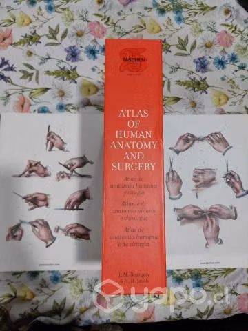 Atlas of human anatomy and surgery taschen