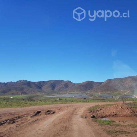 Terreno sector Los Olivos - Imagen 5