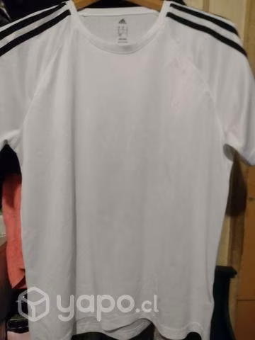 Poleras perfectas condiciones - Imagen 6