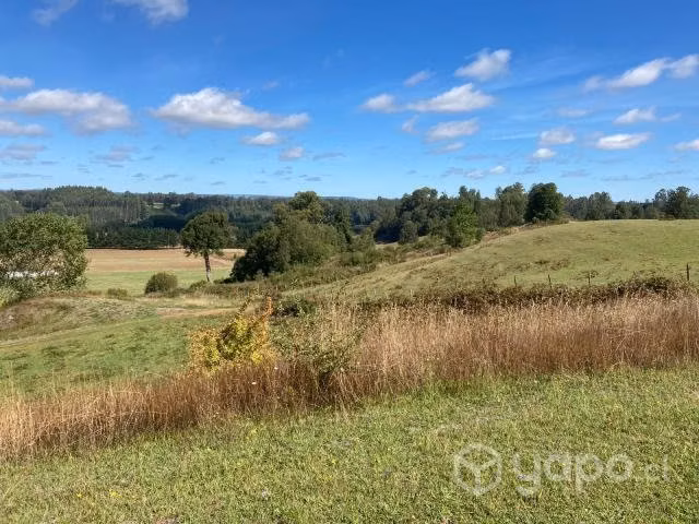 Parcela en exclusivo loteo en Las Quemas Osorno