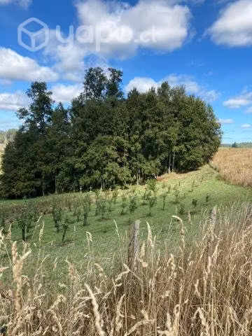 Parcela en exclusivo loteo en Las Quemas Osorno