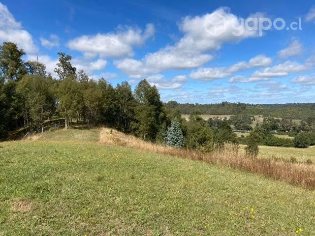 Parcela en exclusivo loteo en Las Quemas Osorno