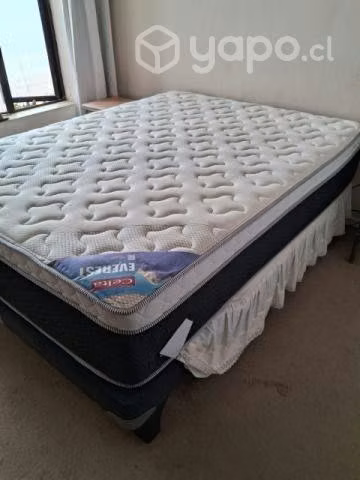Cama