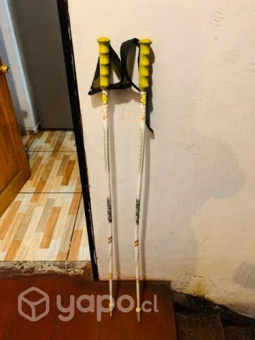 Bastones de esqui