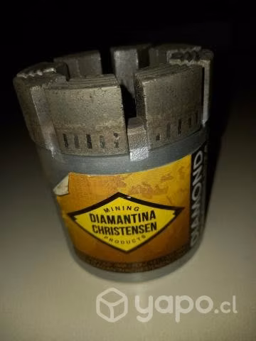 Corona diamantina nq