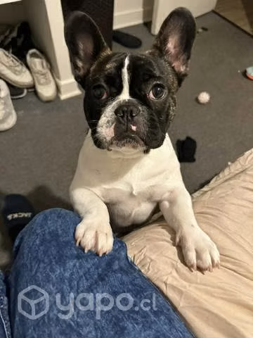 Novia para odin