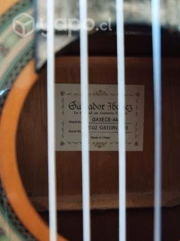 Guitarra Electroacústica Ibanez Modelo GA3ECE-AM - Imagen 2