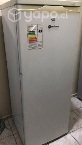 Freezer vertical Mademsa