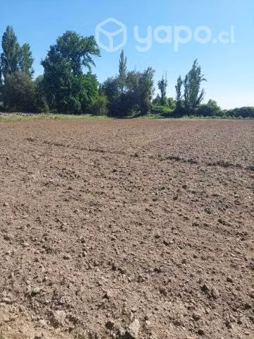 terreno