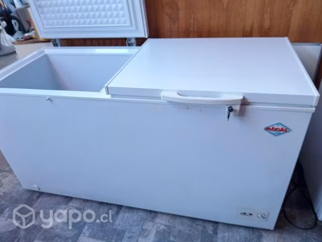 Congelador Maigas