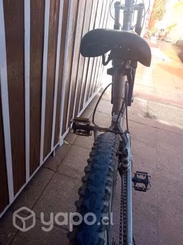 Bicicleta