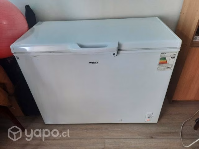 Congeladora winia 248lts - Imagen 2