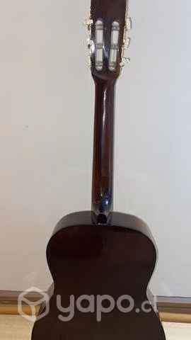 Guitarra acústica