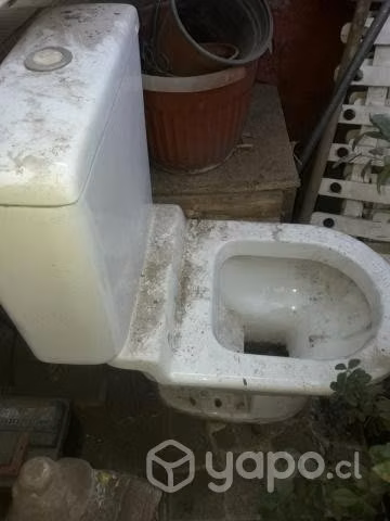 Tasa de wc