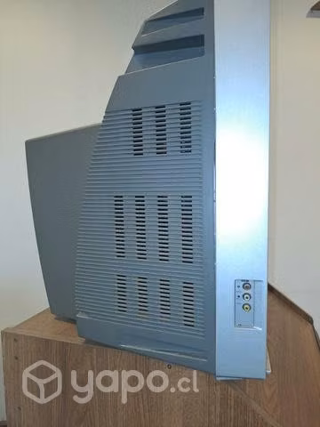 Televisor Samsung 25 pulgadas pantalla plana