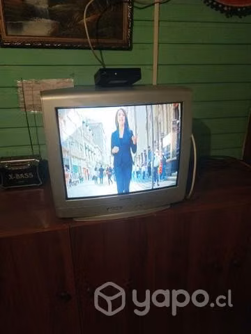 Tv en buenas condiciones 21