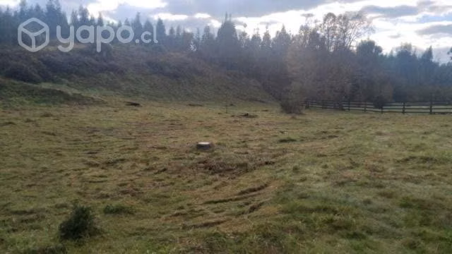 Parcela 1/2 ha urbanizada