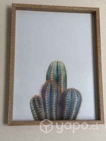Lindos cuadros decorativos