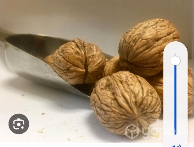 Nueces - Imagen 2