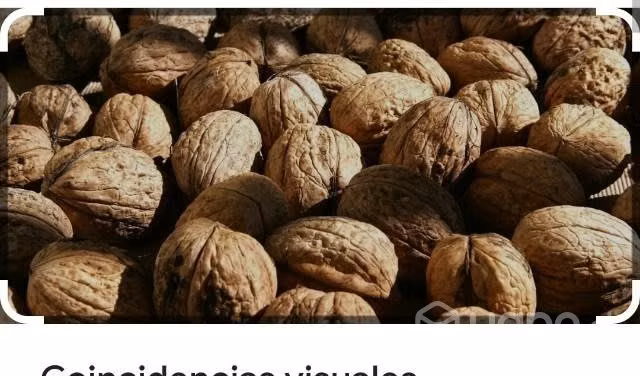 Nueces - Imagen 3