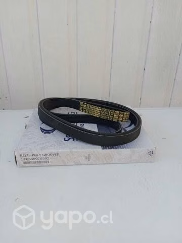 Correa Altern Actyon sports, stavic, Rexton