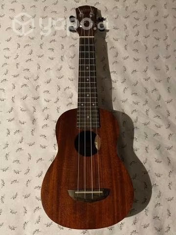 Ukulele acacia