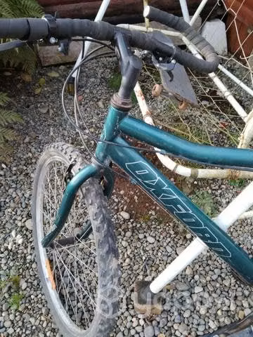 Bicicleta