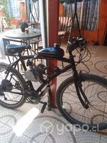 Bicimoto mosquito 49cc