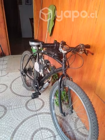 Bicimoto mosquito 49cc