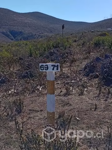 Terrenos x Hectareas