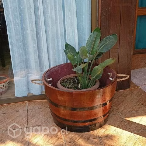 Maceteros de barriles de roble - Imagen 5