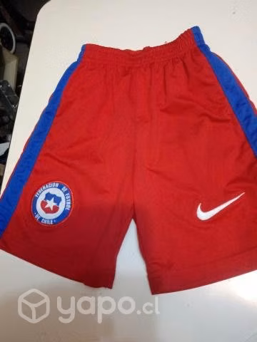 Equipo de chile
