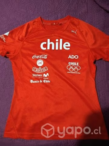 Equipo de chile