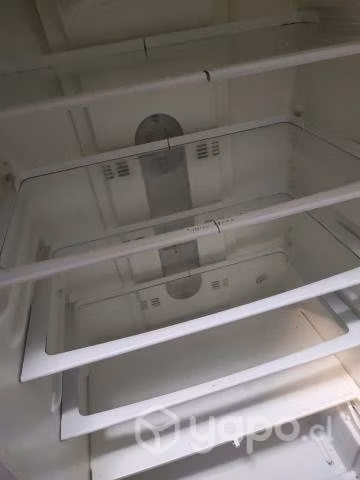 REFRI Bosch Frostfree 44