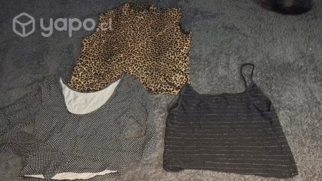 Lotes de 6 poleras