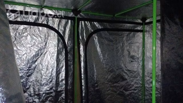 Carpa indoor
