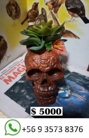 Macetero cráneo. Calavera pintada a mano. Impr 3D