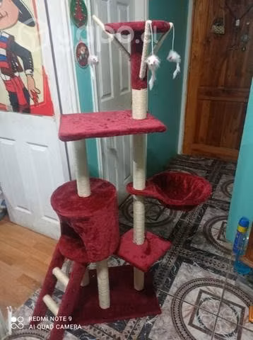 Rascador para gatos nuevo