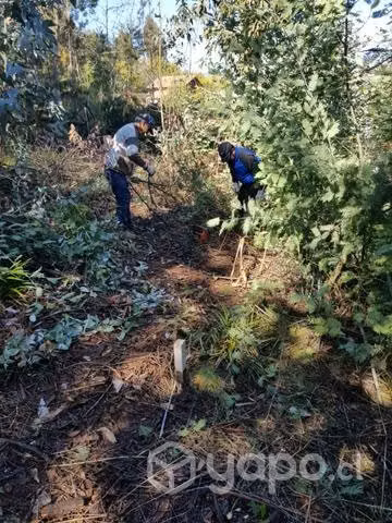 Sitios en el pueblo de vichuquén - Imagen 3