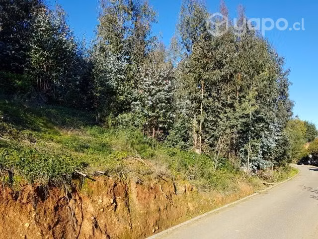 Sitios en el pueblo de vichuquén - Imagen 4