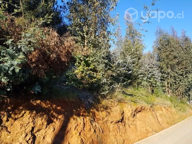 Sitios en el pueblo de vichuquén - Imagen 5