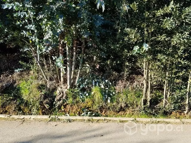 Sitios en el pueblo de vichuquén - Imagen 2
