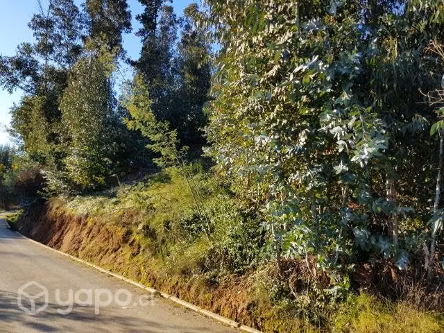Sitios en el pueblo de vichuquén