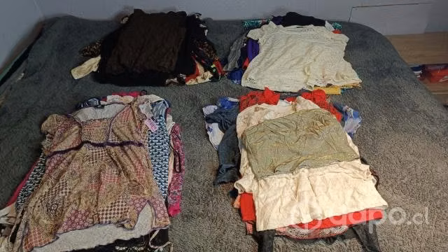 Lote de 15 poleras