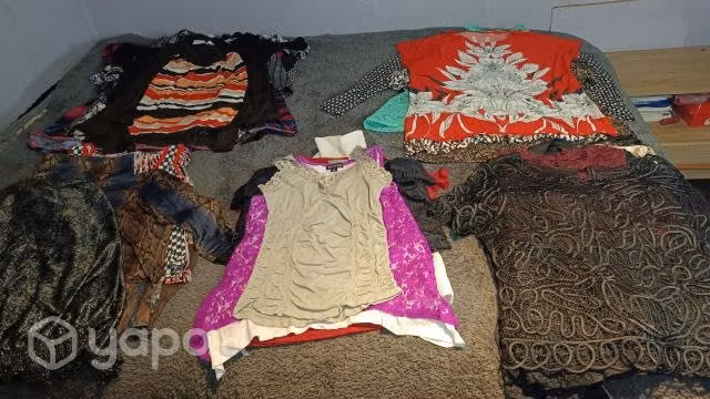 Lote de 15 poleras