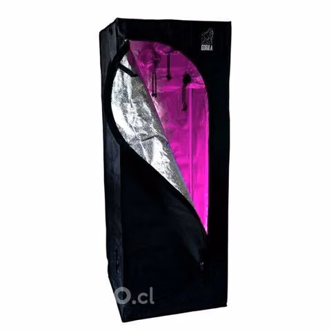 Kit indoor gorila 60cm