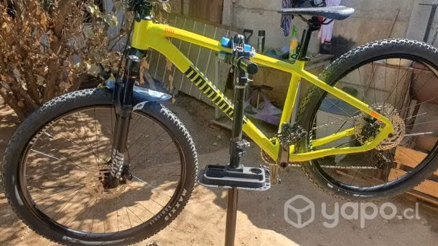 Mtb dominate
