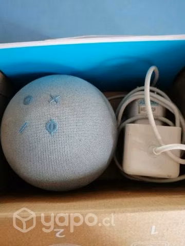 Alexa echo dot
