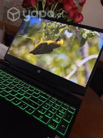 HP Pavilion - Imagen 6